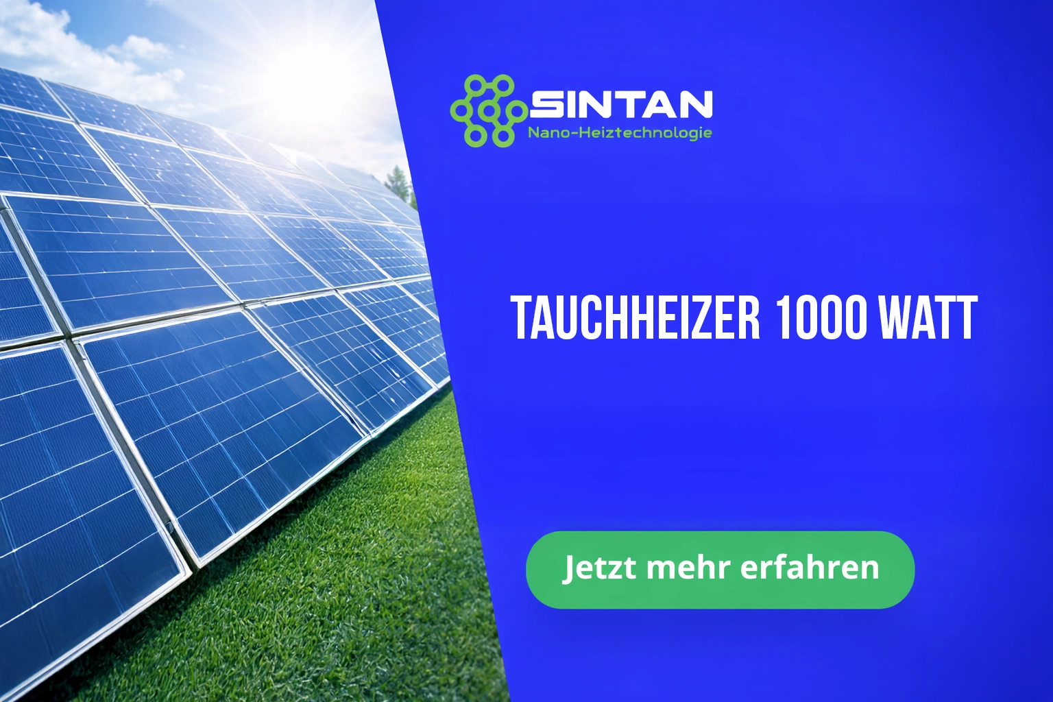 Tauchheizer 1000 Watt